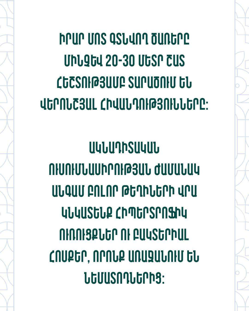 article